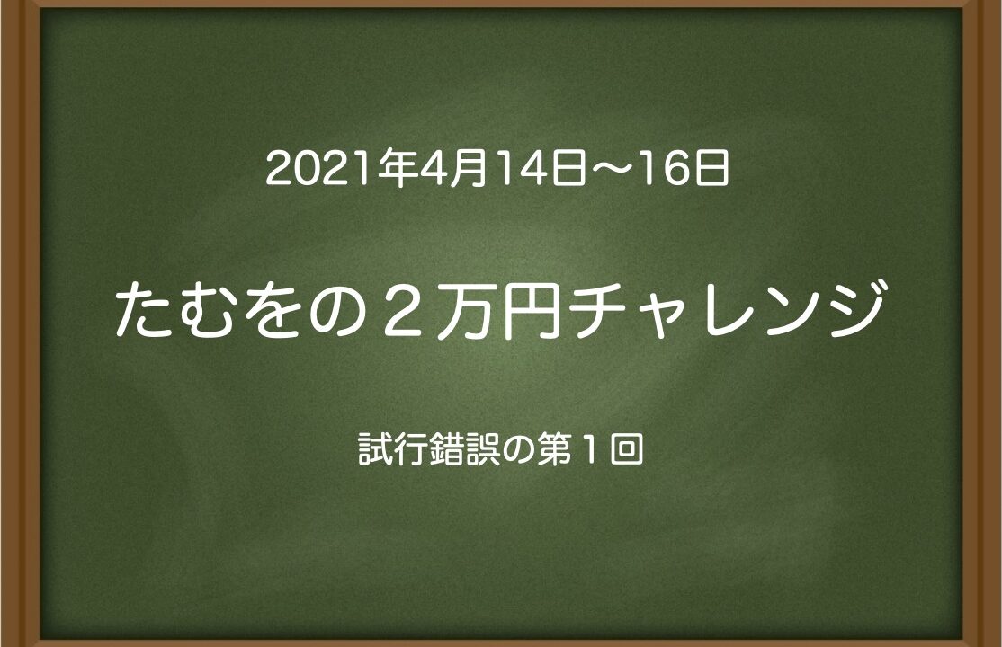 たむをの２万円チャレンジ〜試行錯誤の第１回