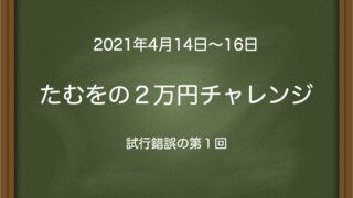 たむをの２万円チャレンジ〜試行錯誤の第１回