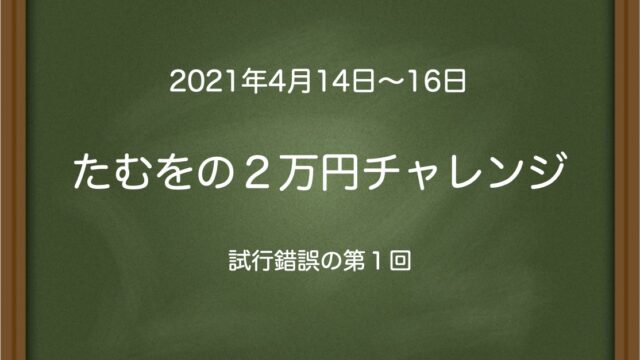 たむをの２万円チャレンジ〜試行錯誤の第１回