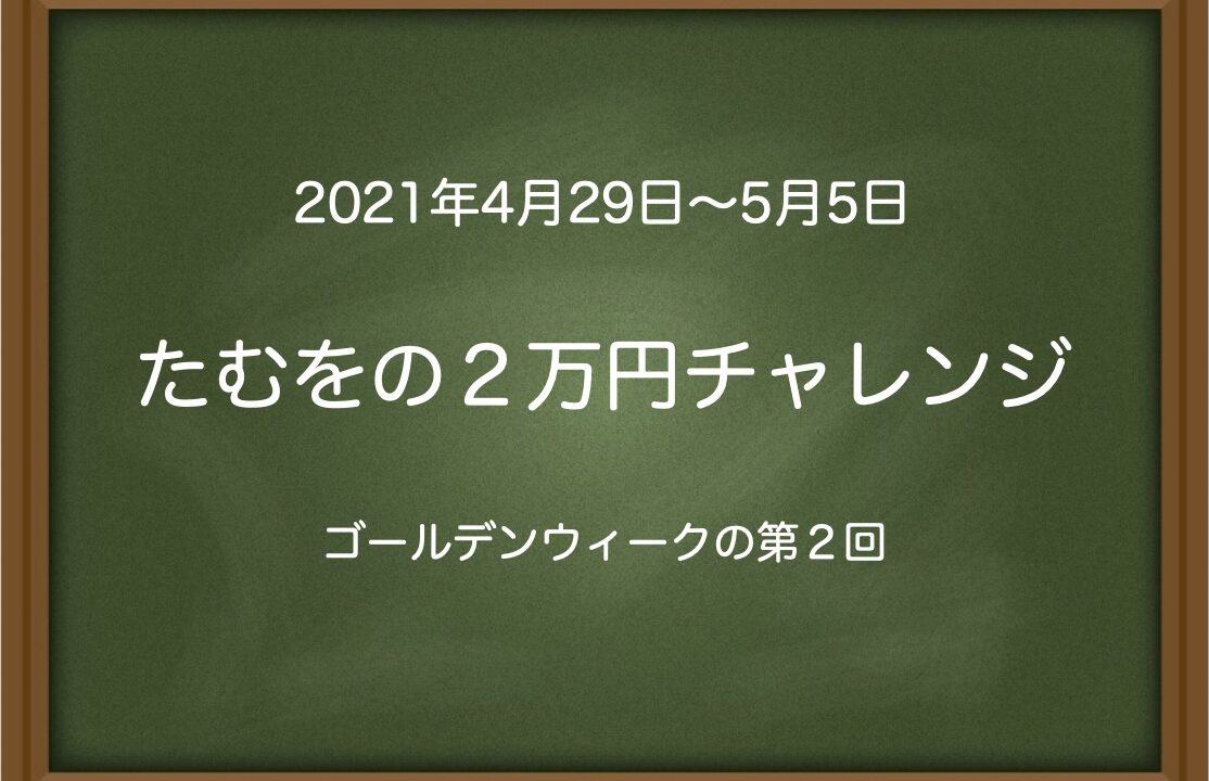 たむをの２万円チャレンジ〜ゴールデンウィークの第２回